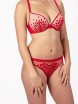 BH CLODI PAW CLB01