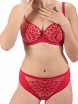 BH CLODI PAW CLB02