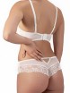 CLODI LIV 2010 BRA