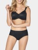 FIGI TRIUMPH ESSENTIAL MINIMIZER