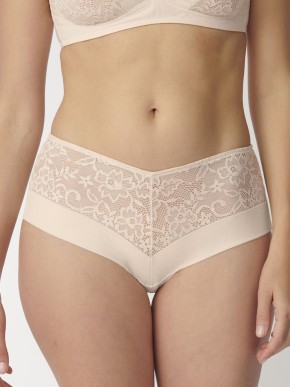 TRIUMPH VIVID SPOTLIGHT MAXI BRIEFS