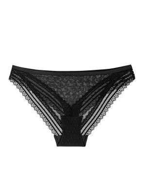TRIUMPH TEMPTING TULLE 01 TAI BRIEFS