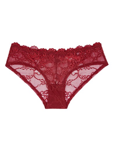 FIGI TRIUMPH TEMPTING LACE HIPSTER