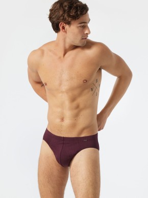 SCHIESSER BRIEFS 178144