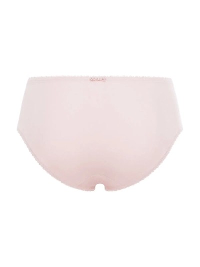 FIGI FELINA CONTURELLE 81005 PROVENCE