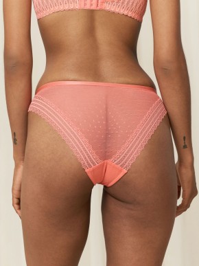 TRIUMPH TEMPTING TULLE 01 TAI BRIEFS