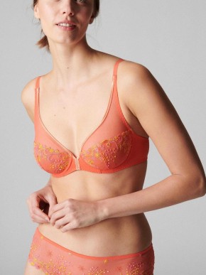 BH SIMONE PERELE DELICE 12X319