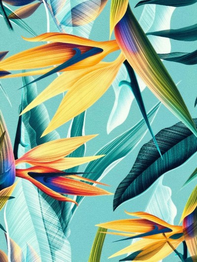 KOSTIUM KĄPIELOWY MARC&ANDRE L2312-Z-BVL