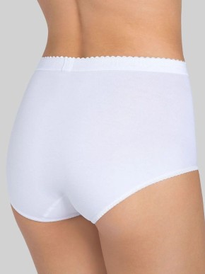SLOGGI CONTROL MAXI BRIEFS