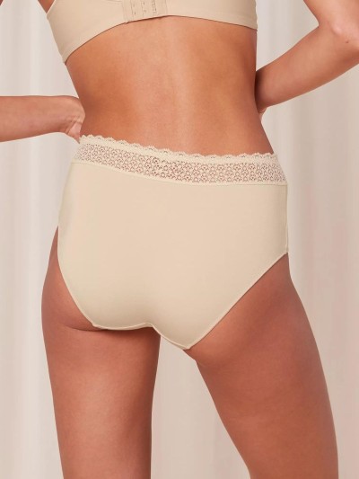 FIGI TRIUMPH FEEL OF MODAL MIDI