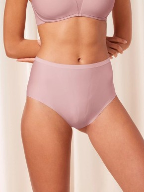 TRIUMPH SHAPE SMART MAXI BRIEFS