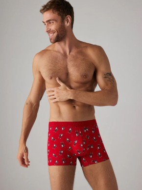 BOXERKY YSABEL MORA 20387