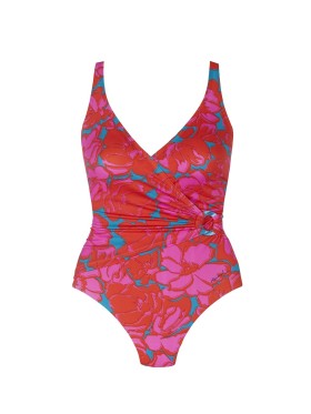 PLAVKY ROIDAL NIDIA 519/02