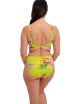 KOSTIUM KĄPIELOWY FANTASIE CALA MACARELLA 505201 GÓRA OD BIKINI