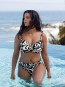 KOSTIUM KĄPIELOWY FANTASIE ARUBA NIGHTS 505372 DÓŁ OD BIKINI