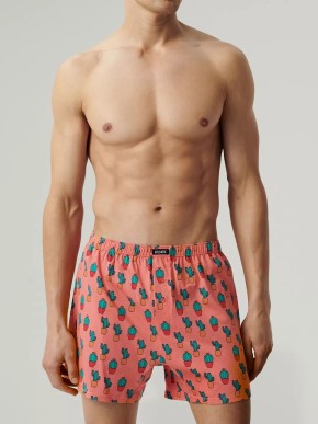 BOXERSHORTS ATLANTIC 2MBH-005 2P