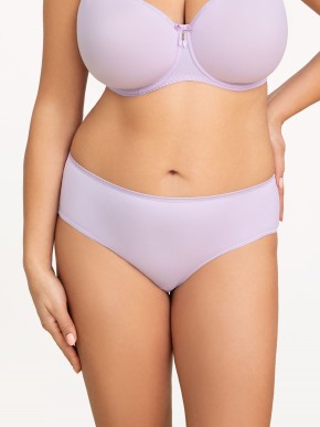 CORIN VIRGINIA II 03771 briefs