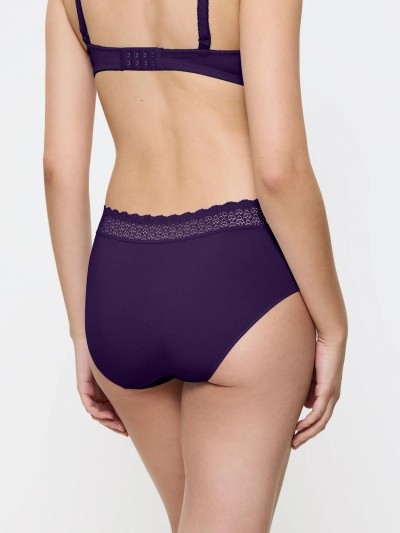 FIGI TRIUMPH FEEL OF MODAL MIDI