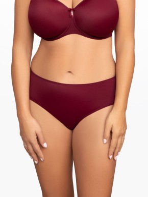CORIN VIRGINIA Briefs 03771