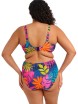 KOSTIUM KĄPIELOWY ELOMI PORTO RAFTI 803302 GÓRA OD BIKINI