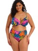 KOSTIUM KĄPIELOWY ELOMI PORTO RAFTI 803302 GÓRA OD BIKINI