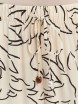DODATEK PLAŻOWY SEAFOLLY HOT HOUSE FLOWER 55631-PA SPODNIE