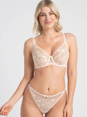 SAMANTA CHERIE C300 BRIEFS