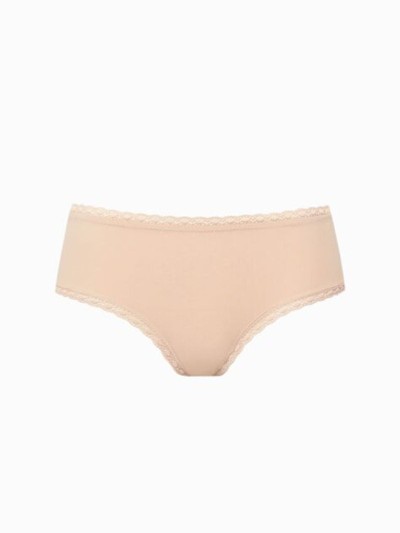 LISCA INES BRIEFS 022255