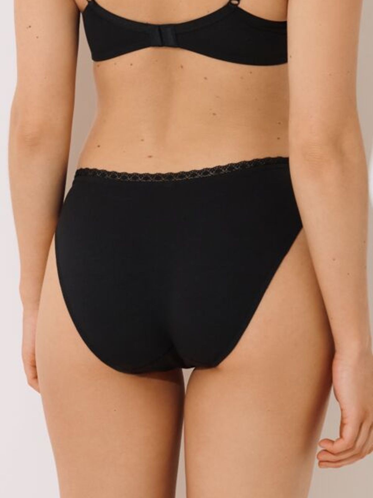 INES 022254 BRIEFS