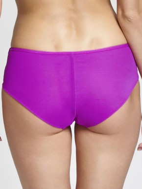 PANACHE CARI 7963 BRIEFS