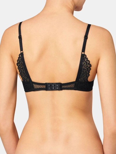 BIUSTONOSZ TRIUMPH DARLING SPOTLIGHT WHP