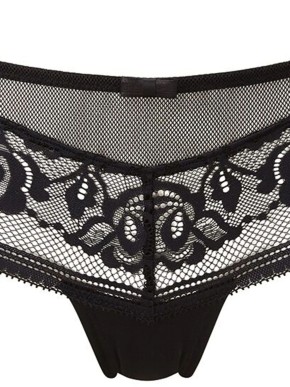 GOSSARD ENCORE BRIEFS 15604